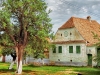 Bauernhaus in Viscri